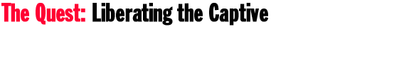 The Quest: Liberating the Captive