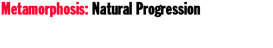Metamorphosis: Natural Progression